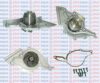 AQUAPLUS 85-4925 Water Pump